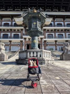 坂本先生のブログ