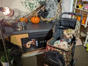 坂本先生のブログ