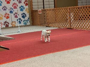 坂本先生のブログ