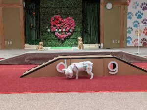 坂本先生のブログ