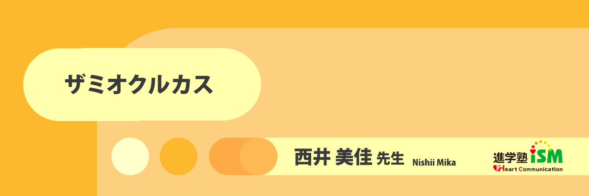 ザミオクルカス